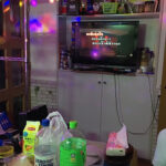 マイクとミラーボールでおうちがカラオケスナックになりました。