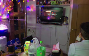 マイクとミラーボールでおうちがカラオケスナックになりました。