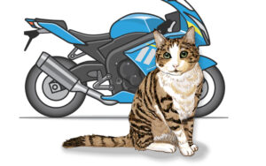 優しい人がいる町と知った日