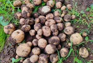 環境って大事だなとしみじみ。